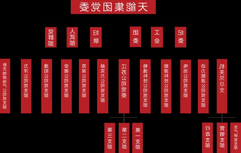 long8建团党委组织架构